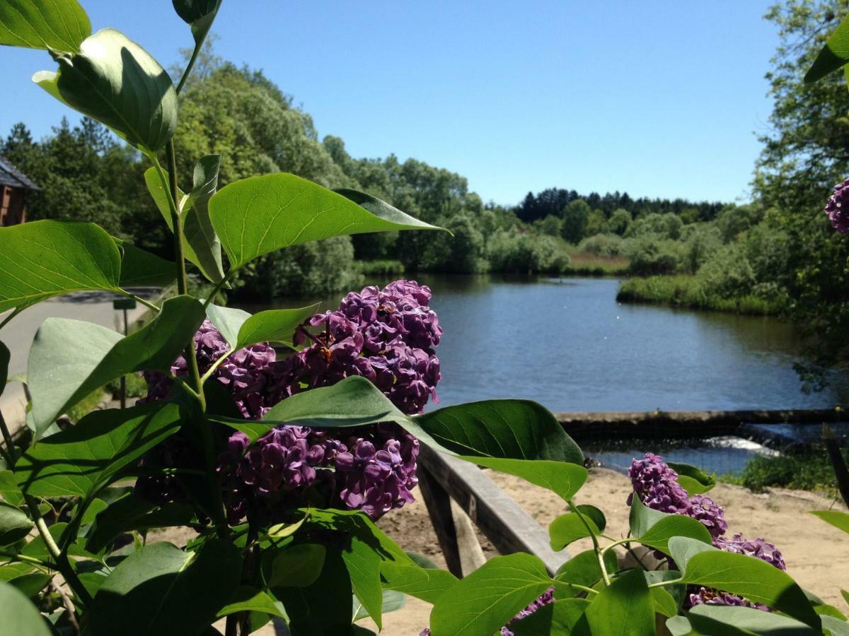 Sulkendrup Molle Apartment Nyborg Luaran gambar